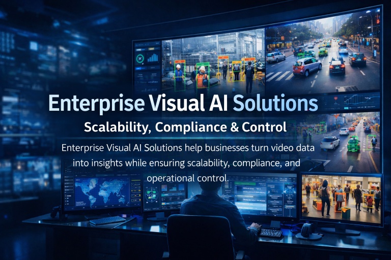 Enterprise Visual AI Solutions